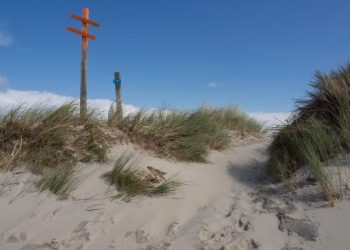 Zehn Jahre Spiekerooger Zeltplatzresidenz und neuer Skulpturenwettbewerb