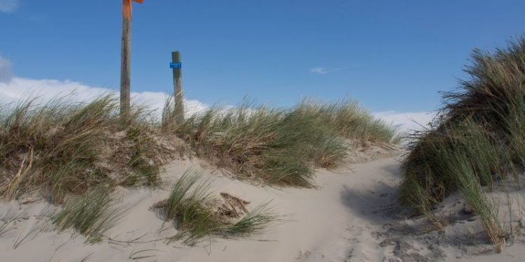 Zehn Jahre Spiekerooger Zeltplatzresidenz und neuer Skulpturenwettbewerb