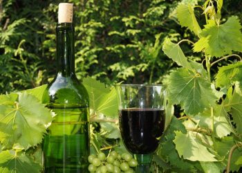 Oldenburger Wein - Weingut Oldenburg - Weine & Weinbeschreibungen