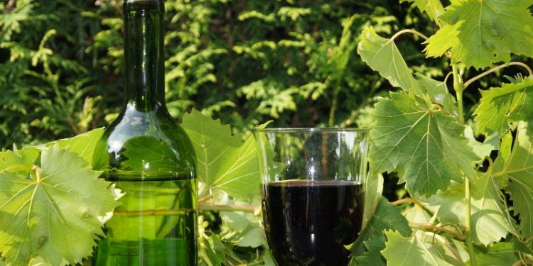 Oldenburger Wein - Weingut Oldenburg - Weine & Weinbeschreibungen