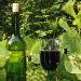 Oldenburger Wein - Weingut Oldenburg - Weine & Weinbeschreibungen