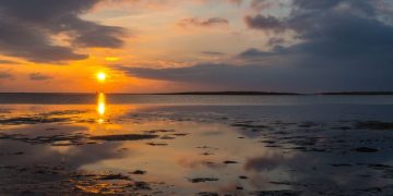 Das Wattenmeer: Ein Einblick in ein einzigartiges Ökosystem