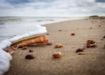 Image by Christoph Schütz from Pixabay