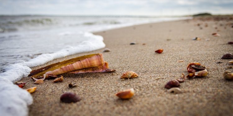 Image by Christoph Schütz from Pixabay