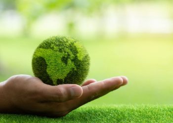 Umweltschützer erheben Klage gegen Chlor-Biozid-Einsatz im Wattenmeer