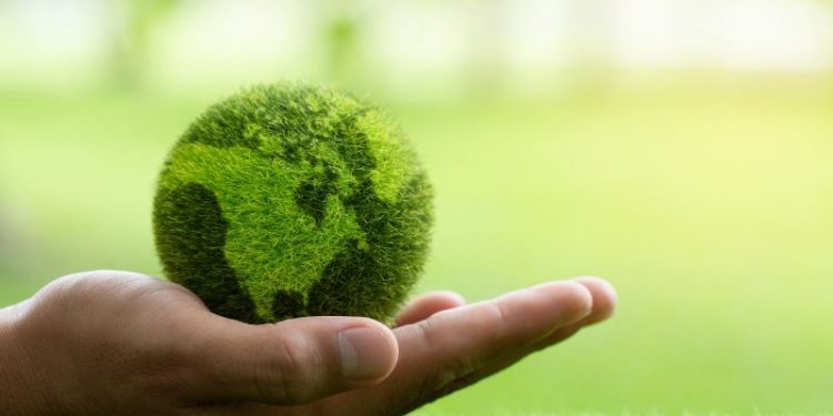 Umweltschützer erheben Klage gegen Chlor-Biozid-Einsatz im Wattenmeer