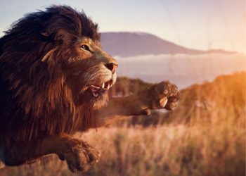 Das Majestätische Spektakel - Das "König der Löwen" Musical in Hamburg