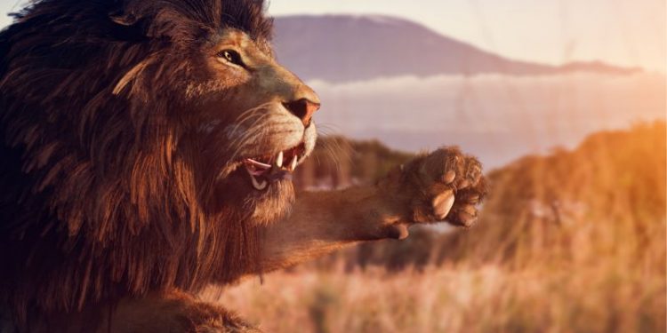 Das Majestätische Spektakel - Das "König der Löwen" Musical in Hamburg