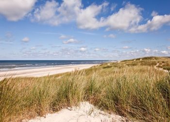Reisetipp: Urlaub an der Dänischen Nordsee