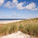Reisetipp: Urlaub an der Dänischen Nordsee