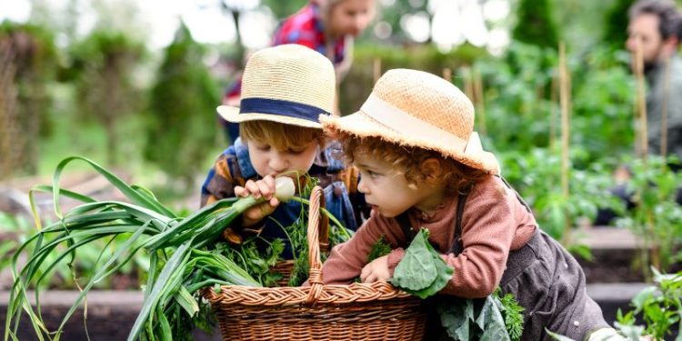 Nordsee Urlaub mit Kindern auf dem Bauernhof: Ein Familienparadies