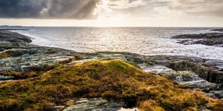 Todesfalle Nordsee: Wie spannend ist der Nordsee-Film wirklich?