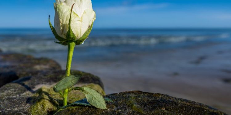 Seebestattung Nordsee: Ein respektvoller Abschied am Meer