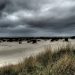 Deutsche Umwelthilfe und Verbündete fordern erneuten Stopp von Gasbohrungen vor Borkum