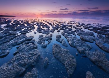 Meyer: „Das Weltkulturerbe Wattenmeer ist einzigartig"