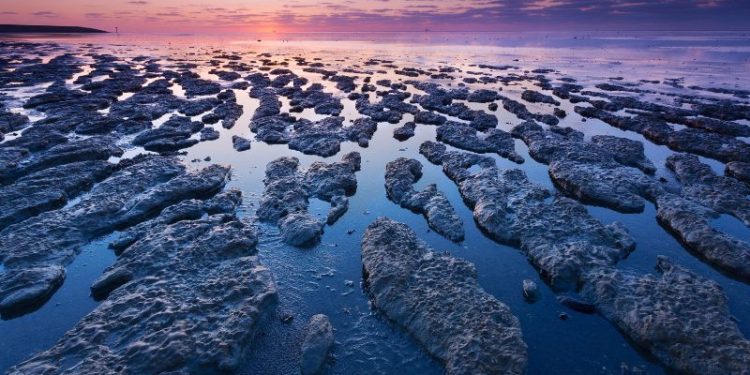 Meyer: „Das Weltkulturerbe Wattenmeer ist einzigartig"