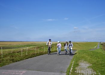 Mit dem Rad unterwegs auf alten Deichen
