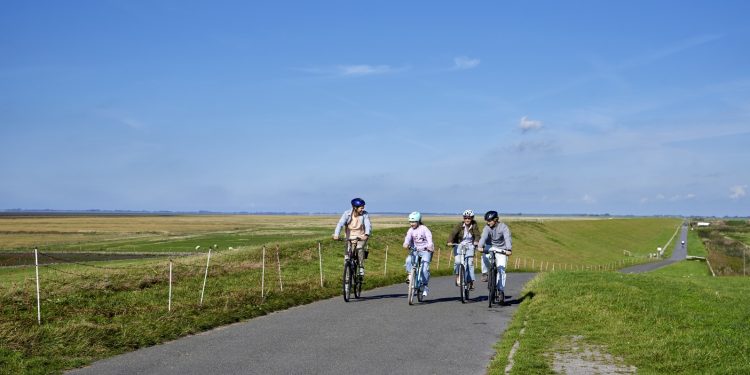 Mit dem Rad unterwegs auf alten Deichen
