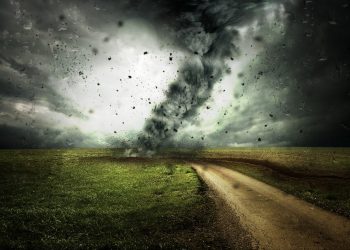 Fokus auf Klimaverantwortliche und -betroffene während der „Deutschen Aktionstage Nachhaltigkeit 2024“