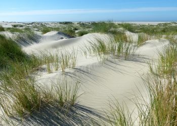 Deutsche Umwelthilfe zieht gegen Gasförderung in Borkum vor Gericht