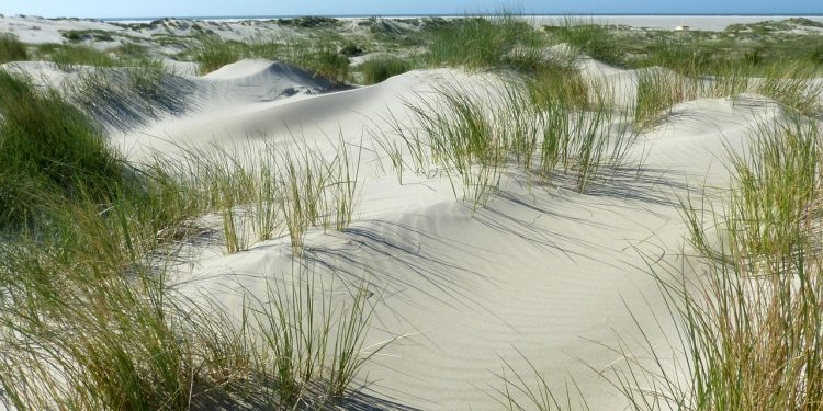 Deutsche Umwelthilfe zieht gegen Gasförderung in Borkum vor Gericht