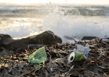 Umweltminister Meyer: „Immer noch viel zu viel Plastik im Meer“