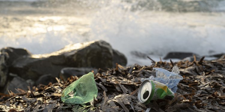 Umweltminister Meyer: „Immer noch viel zu viel Plastik im Meer“