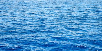 Ozeankonferenz ohne Durchbruch: Deutsche Umwelthilfe fordert Ende fossiler Investitionen und verbindliche Schutzmaßnahmen von Umweltminister Schneider