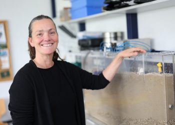 Forschung auf Spiekeroog wird fortgesetzt