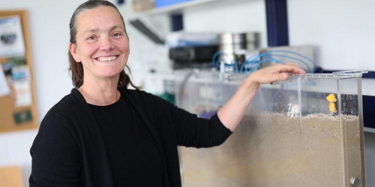 Forschung auf Spiekeroog wird fortgesetzt