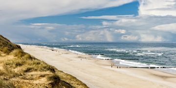 Wie sich das Ökosystem Wattenmeer in den vergangenen Jahrzehnten verändert hat