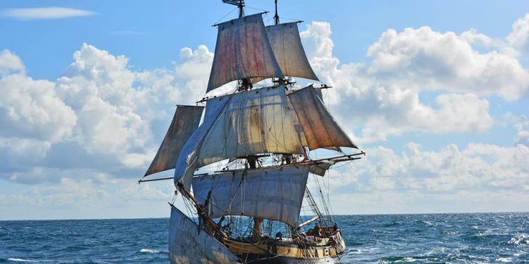 Premiere bei der SAiL: Diese drei Segler kommen das erste Mal