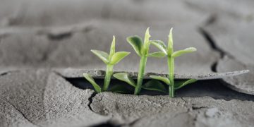 Walk & Talk: Wie geht’s dir mit dem Klimawandel?