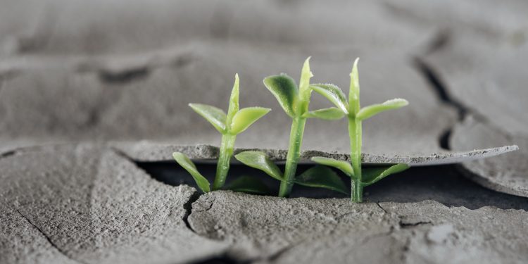 Walk & Talk: Wie geht’s dir mit dem Klimawandel?