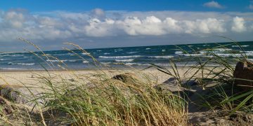 Gasförderung in der Nordsee: OVG bestätigt Sofortvollzug - LBEG lässt Sonderbetriebsplan für erste Bohrung zu